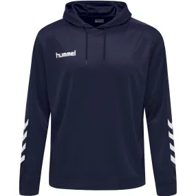 Felpa con cappuccio Hummel hmlPROMO Poly