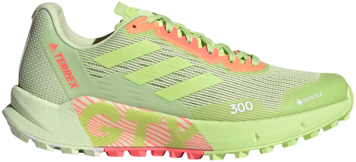 Scarpe per sentieri adidas TERREX AGRAVIC FLOW 2 GTX W
