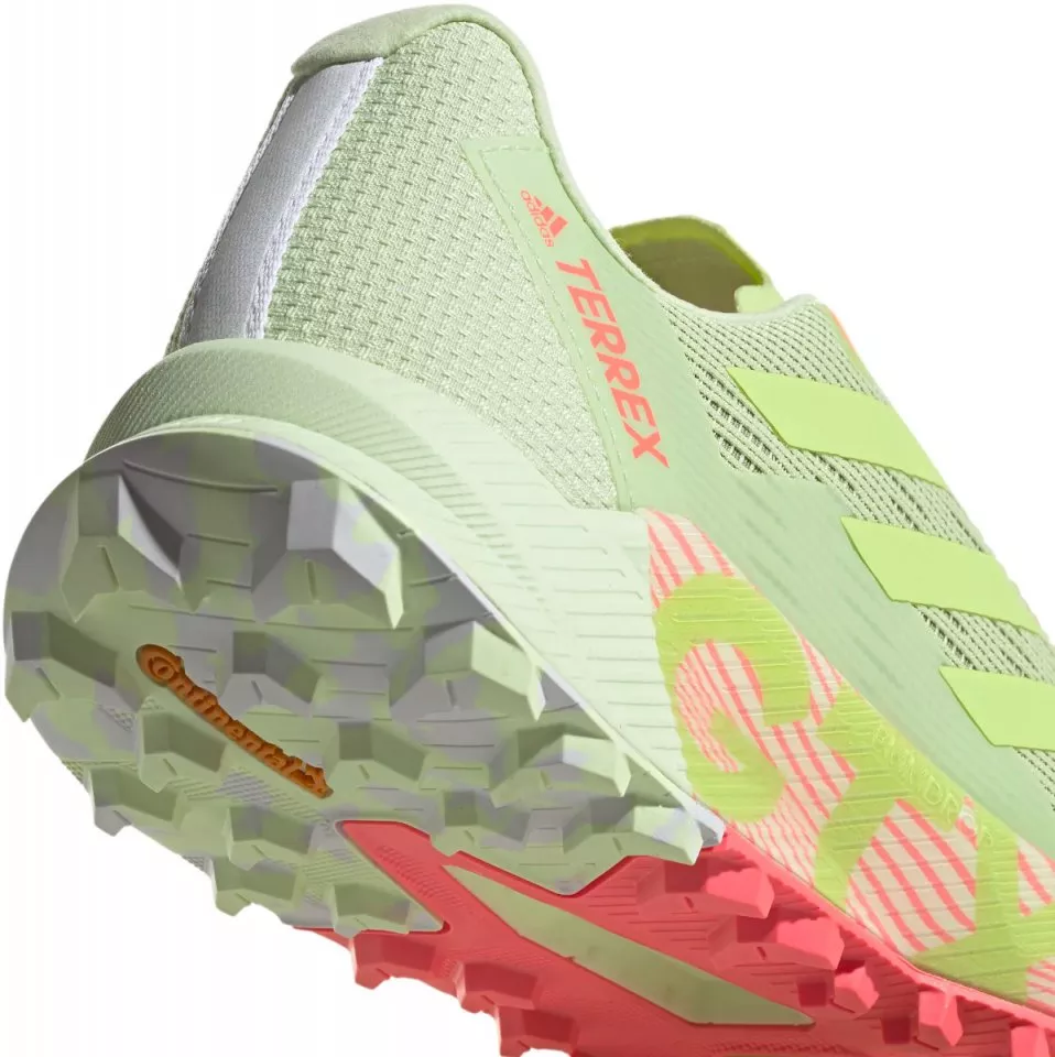 Scarpe per sentieri adidas TERREX AGRAVIC FLOW 2 GTX W